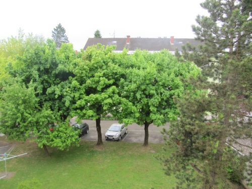 Klagenfurt Nord: Preiswerte 2 Zimmer Anlegerwohnung in ruhiger Lage! - Bild5