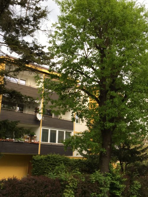 Klagenfurt Univiertel: Renovierte 4 Zimmer Mietwohnung mit WG-Eignung! - Bild1